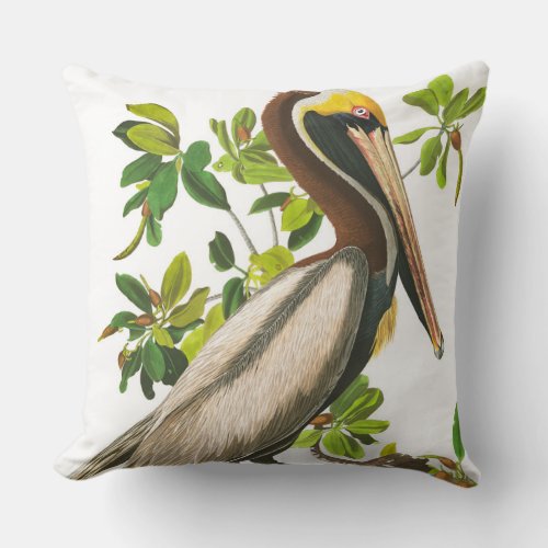 Brown Pelican by John James Audubon Throw Pillow