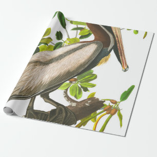 Brown Pelican by John James Audubon Wrapping Paper