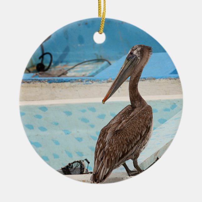Brown Pelican | Cabo San Lucas Ceramic Ornament (Front)