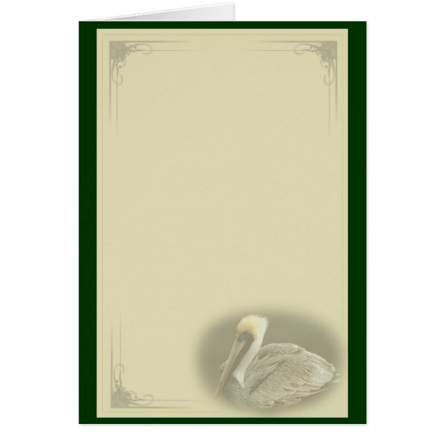 Brown Pelican Cards (Front)