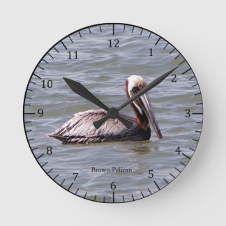 Brown Pelican clock