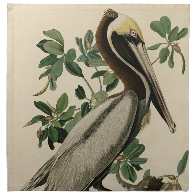 Brown Pelican from Audubon's Birds of America Cloth Napkin (Front)