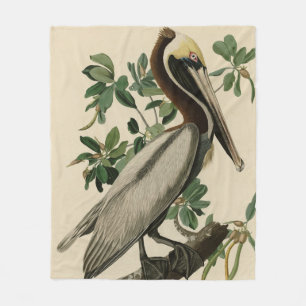 Brown Pelican from Audubon's Birds of America Fleece Blanket