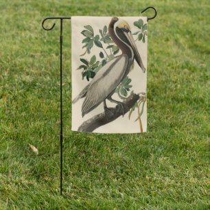Brown Pelican from Audubon's Birds of America Garden Flag