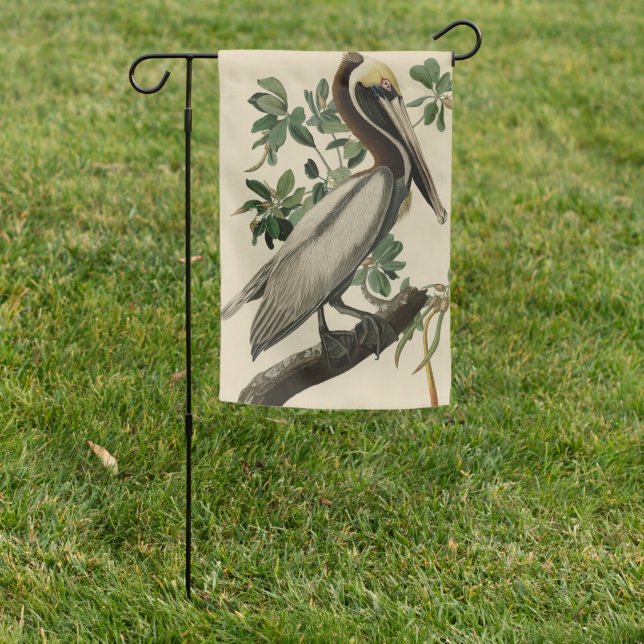 Brown Pelican from Audubon's Birds of America Garden Flag (In SItu)