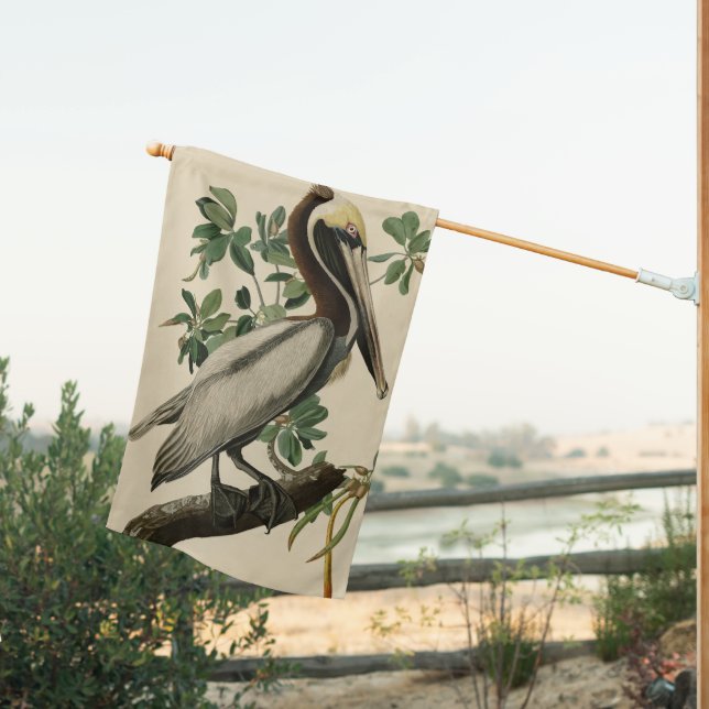 Brown Pelican from Audubon's Birds of America House Flag (Insitu (Back))