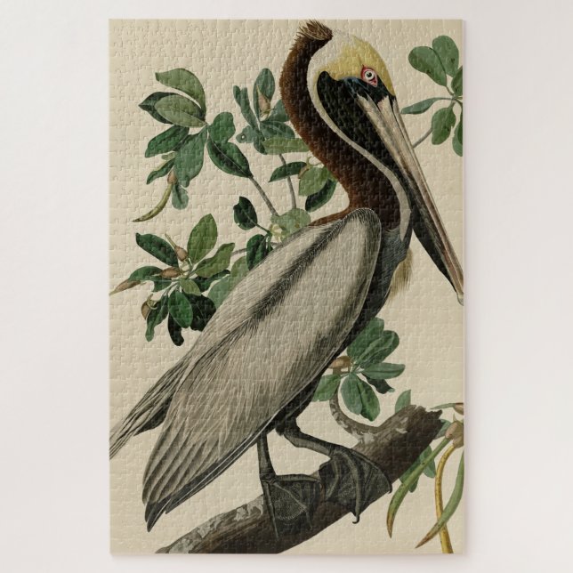 Brown Pelican from Audubon's Birds of America Jigsaw Puzzle (Vertical)