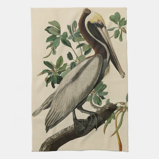 Brown Pelican from Audubon's Birds of America Kitchen Towel (Vertical)