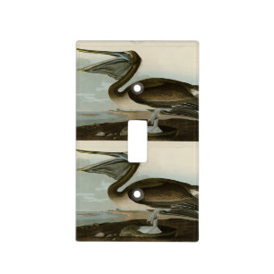 Brown Pelican from Audubon's Birds of America Ligh Light Switch Cover