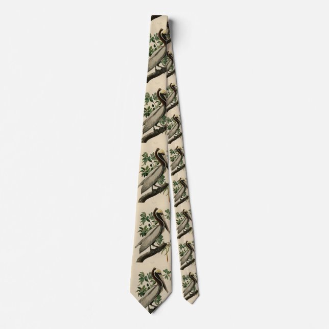Brown Pelican from Audubon's Birds of America Neck Tie (Front)