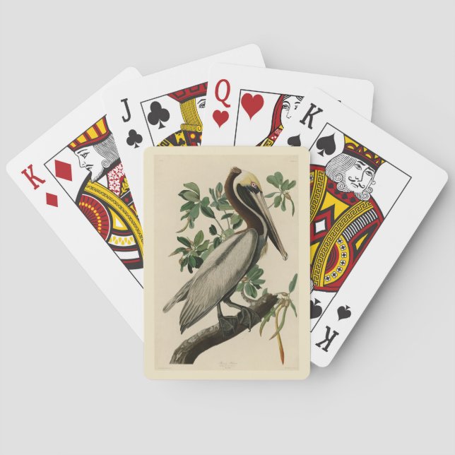 Brown Pelican from Audubon's Birds of America Poker Cards (Back)
