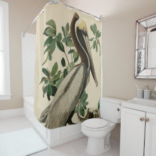 Brown Pelican from Audubon's Birds of America Shower Curtain