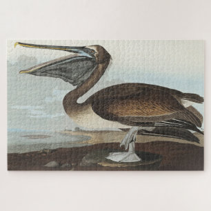 Brown Pelican from Birds of America Jigsaw Puzzle