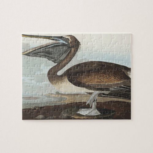 Brown Pelican from Birds of America Jigsaw Puzzle