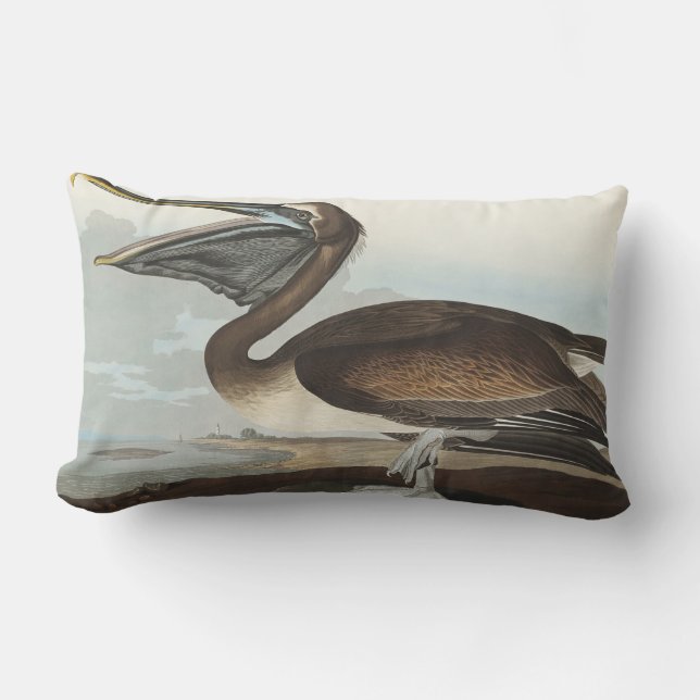 Brown Pelican from Birds of America Lumbar Pillow (Front)