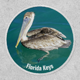 Brown Pelican in the Florida Keys Patch