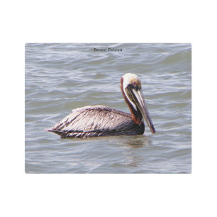 Brown Pelican metal wall art
