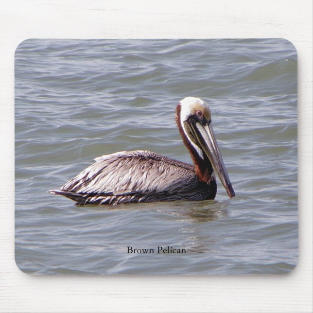 Brown Pelican mousepad (Front)