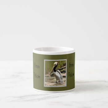 Brown Pelican Mug by Considernature at Zazzle