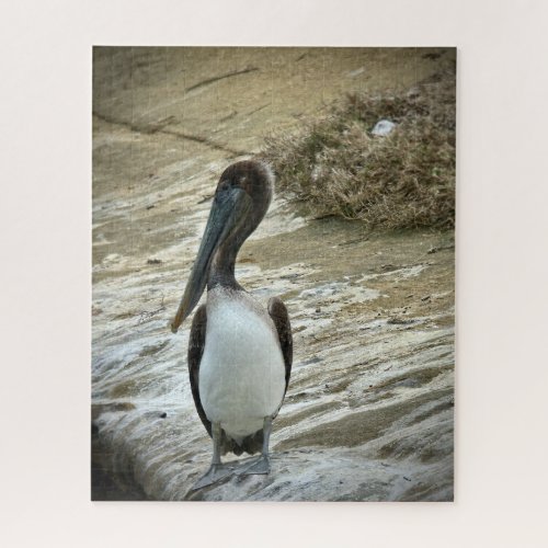 Brown Pelican Nesting Jigsaw Puzzle