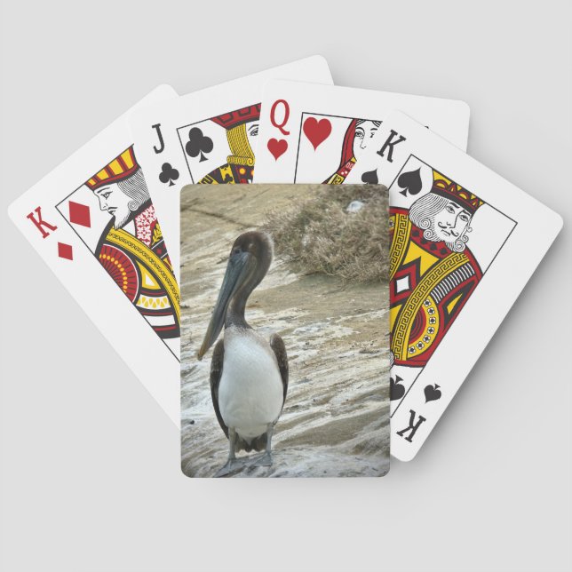 Brown Pelican Nesting Poker Cards (Back)