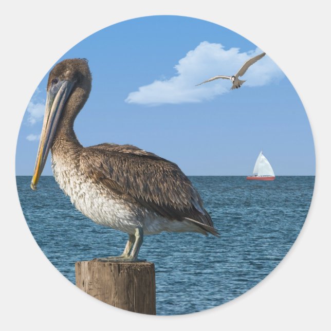 Brown Pelican on a Post Sticker (Front)