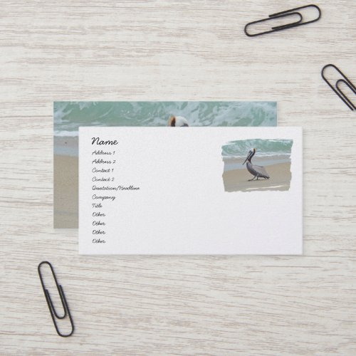Brown Pelican on Beach Business Card