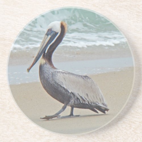 Brown Pelican on Beach Sandstone Coaster