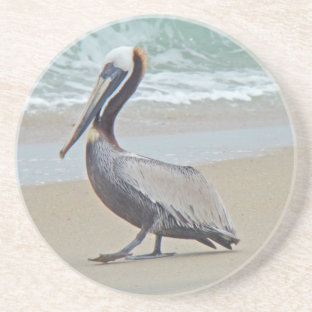 Brown Pelican on Beach Sandstone Coaster (Front)
