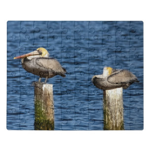 Brown Pelican Pair Roosting on Posts Jigsaw Puzzle