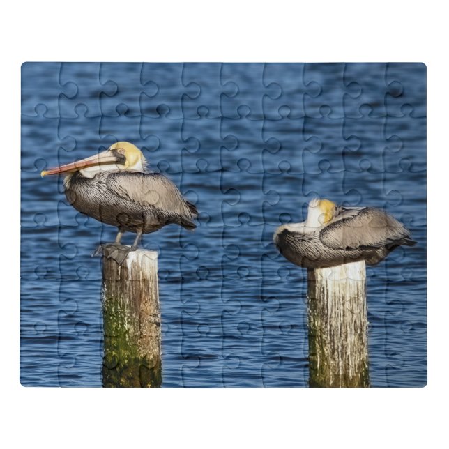 Brown Pelican Pair Roosting on Posts  Jigsaw Puzzle (Puzzle Horizontal)
