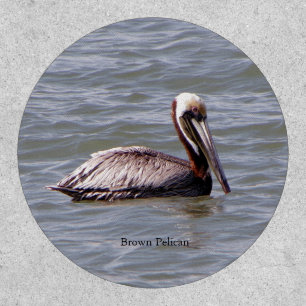 Brown Pelican patch