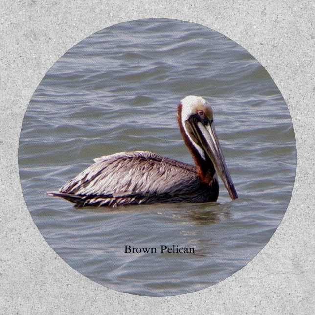 Brown Pelican patch (Front)