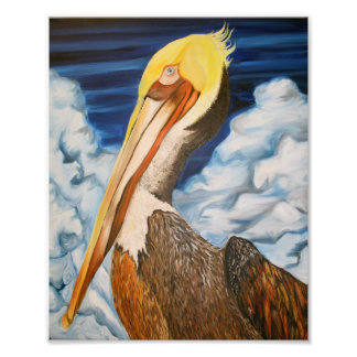 Brown Pelican Photo Print