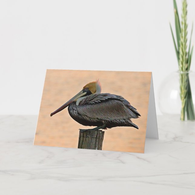 Brown Pelican Resting on Piling Canvas Print Card (Front)