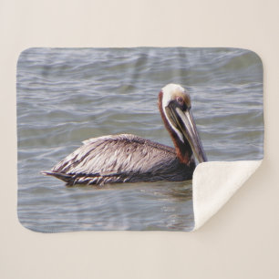 Brown Pelican sherpa blanket