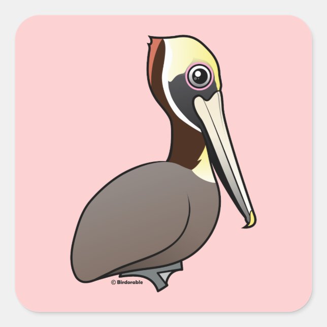 Brown Pelican Square Sticker (Front)