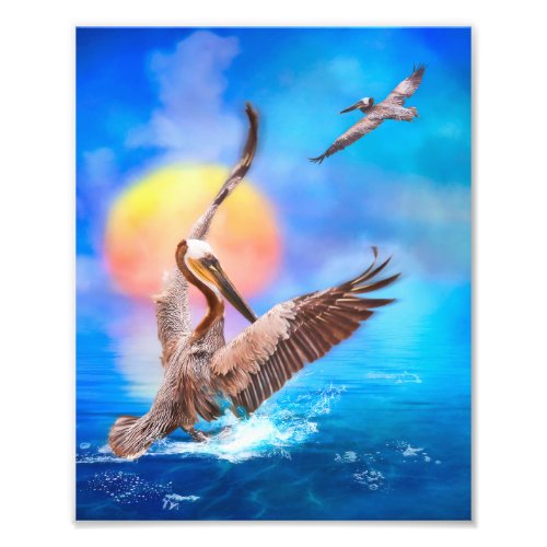 Brown Pelicans SUN KISSED PELICANS ISLAND Photo Print