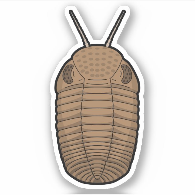 Brown Phacops Trilobite- Prehistoric Animal Vinyl Sticker (Front)