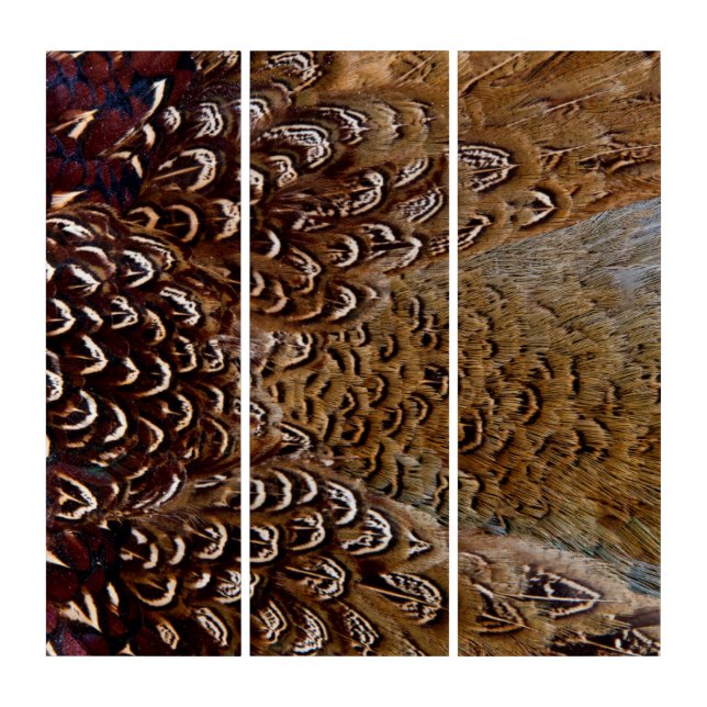 Brown Pheasant Feather Design Triptych (Front)