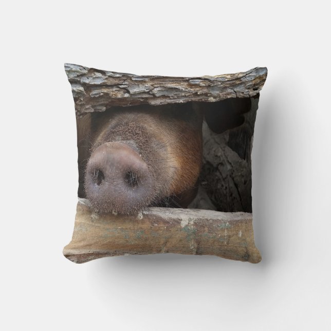 Brown Pig Poking Nose through Rustic Fence Throw Pillow (Front)