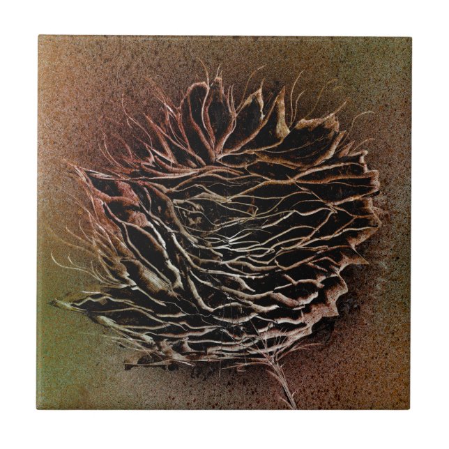 Brown Pinecone Ceramic Tile (Front)