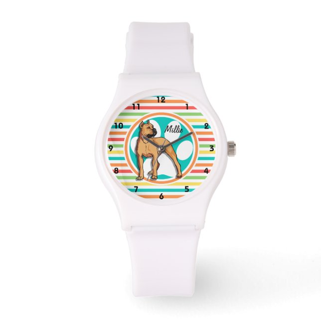Brown Pit bull; Bright Rainbow Stripes Watch (Front)