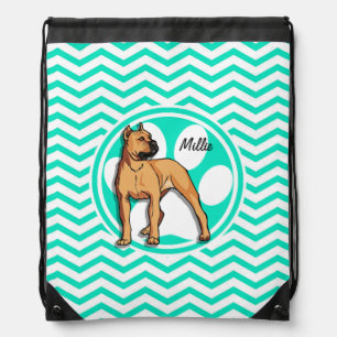 Brown Pitbull; Aqua Green Chevron Drawstring Bag
