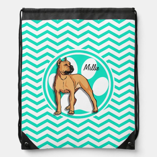 Brown Pitbull; Aqua Green Chevron Drawstring Bag (Front)