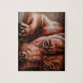 Brown Pitbull Face Drawing Of Pet Portrait Dog Jigsaw Puzzle by NosesNPosesfromALM at Zazzle