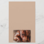 Brown Pitbull Face Drawing Of Pet Portrait Dog Stationery at Zazzle