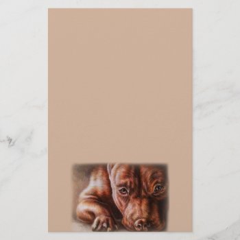 Brown Pitbull Face Drawing Of Pet Portrait Dog Stationery by NosesNPosesfromALM at Zazzle