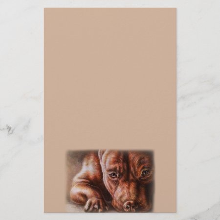 Brown Pitbull Face Drawing Of Pet Portrait Dog Stationery
