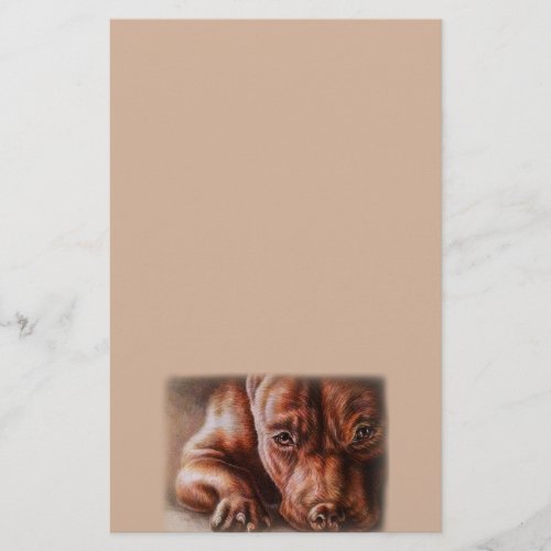 Brown pitbull face drawing of pet portrait dog stationery